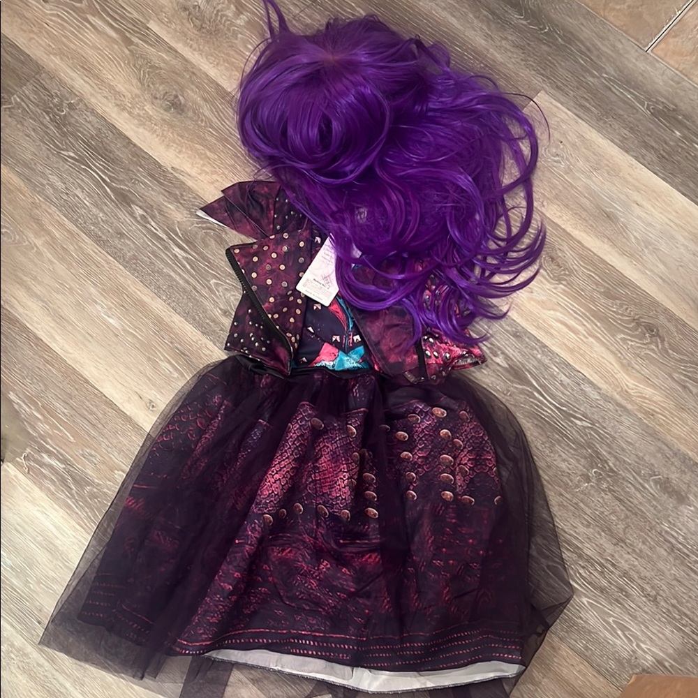 Disney Descendants Costume